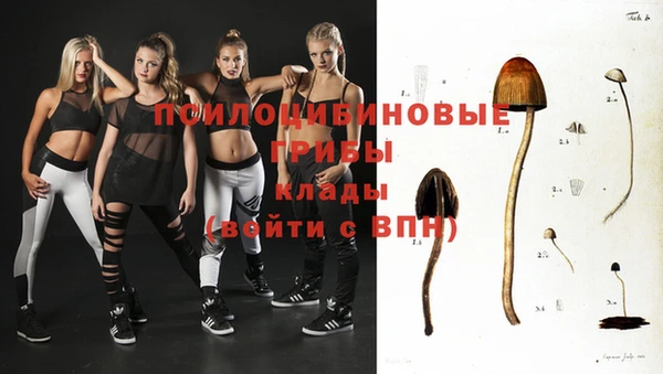 сатива Навашино