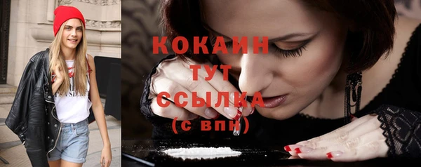 гашик Надым