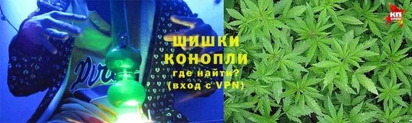 ПСИЛОЦИБИНОВЫЕ ГРИБЫ Белокуриха