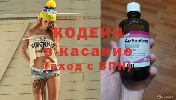 гашик Надым