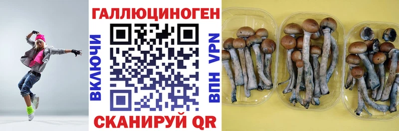 Галлюциногенные грибы прущие грибы Богучар